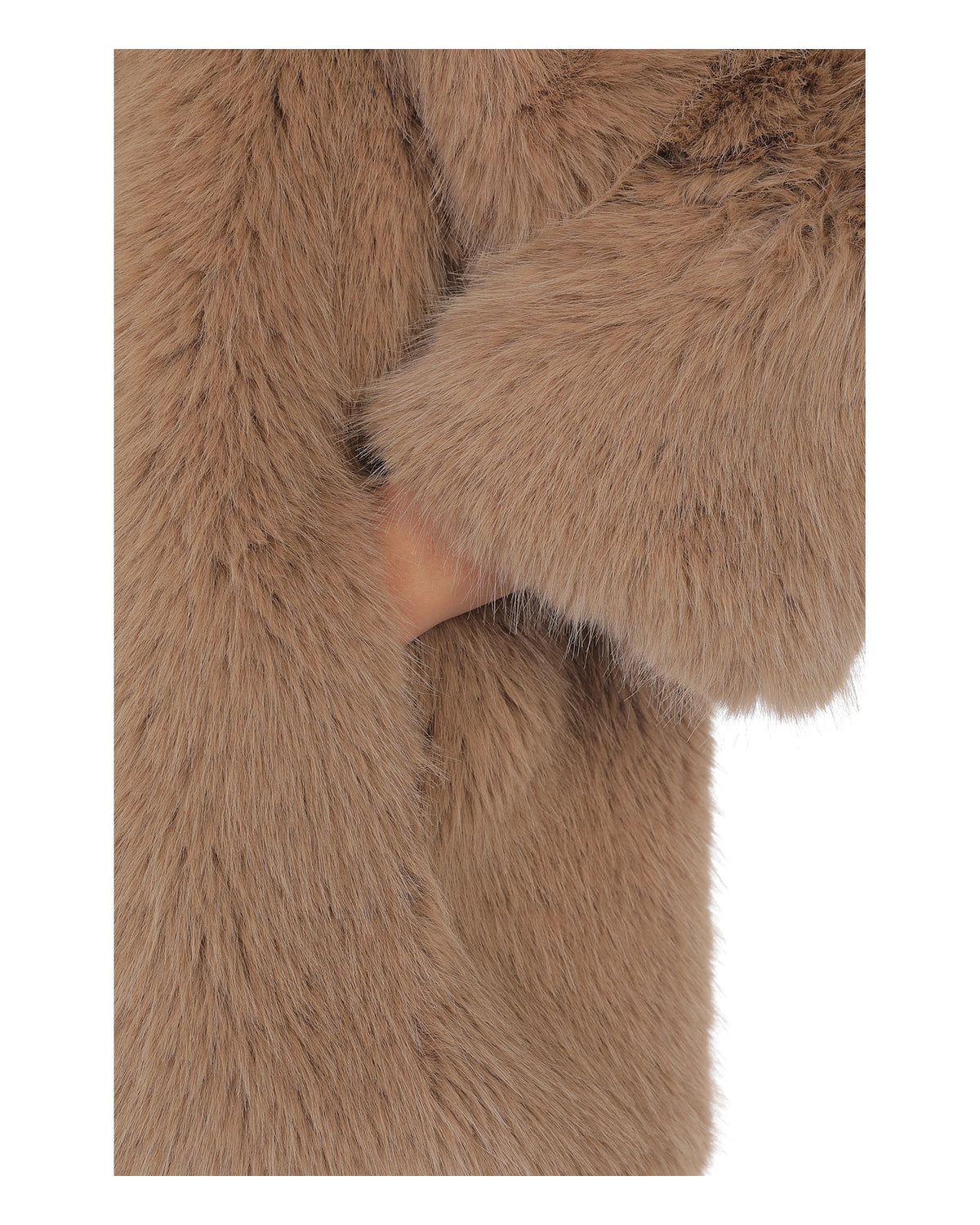 JACKET natur - Dondup - MEINFREUDENHAUS