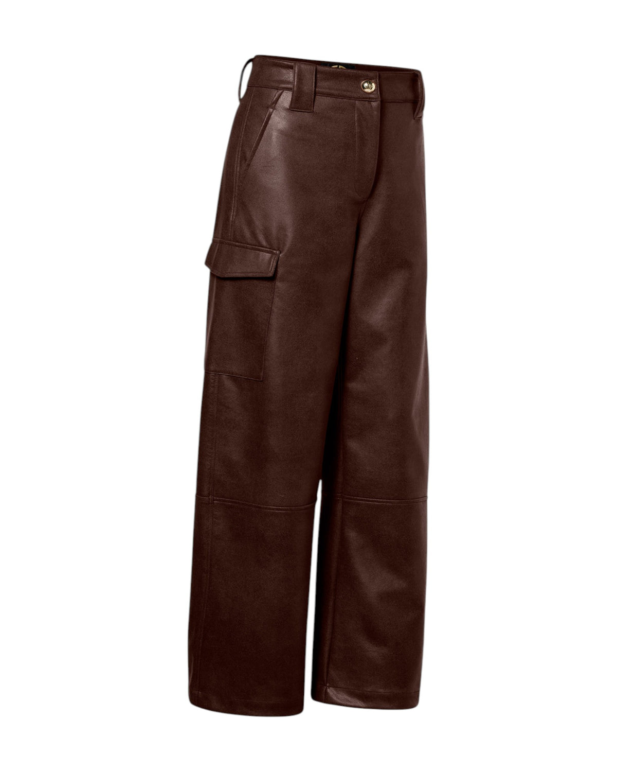 Goldbergh KAIYA Damen-Cargohose dunkelbraun Bild 2