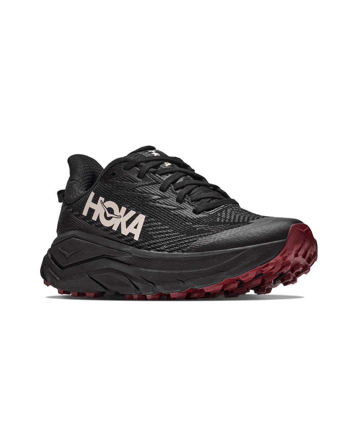 HOKA Challenger 8 GTX Damen-Trailrunningschuh grau Bild 1