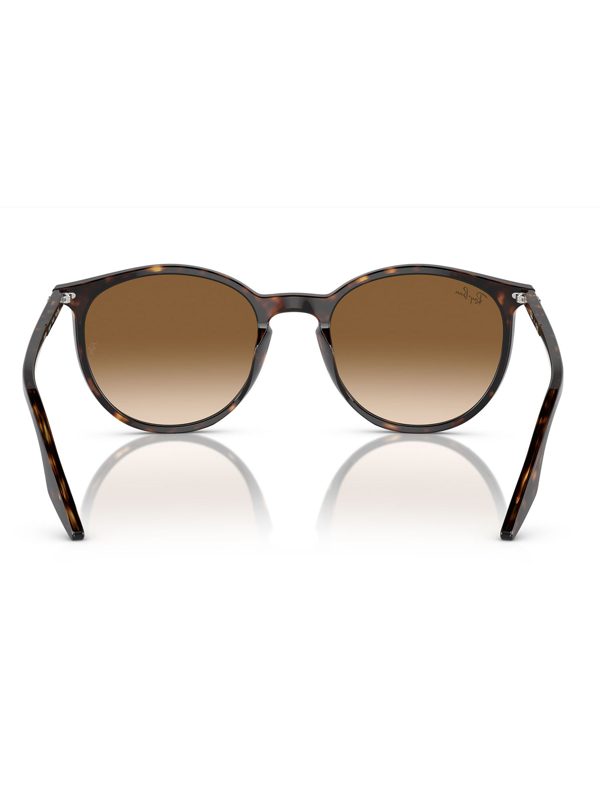 Ray-Ban RB2204 RB2204 Sonnenbrille bunt Bild 9