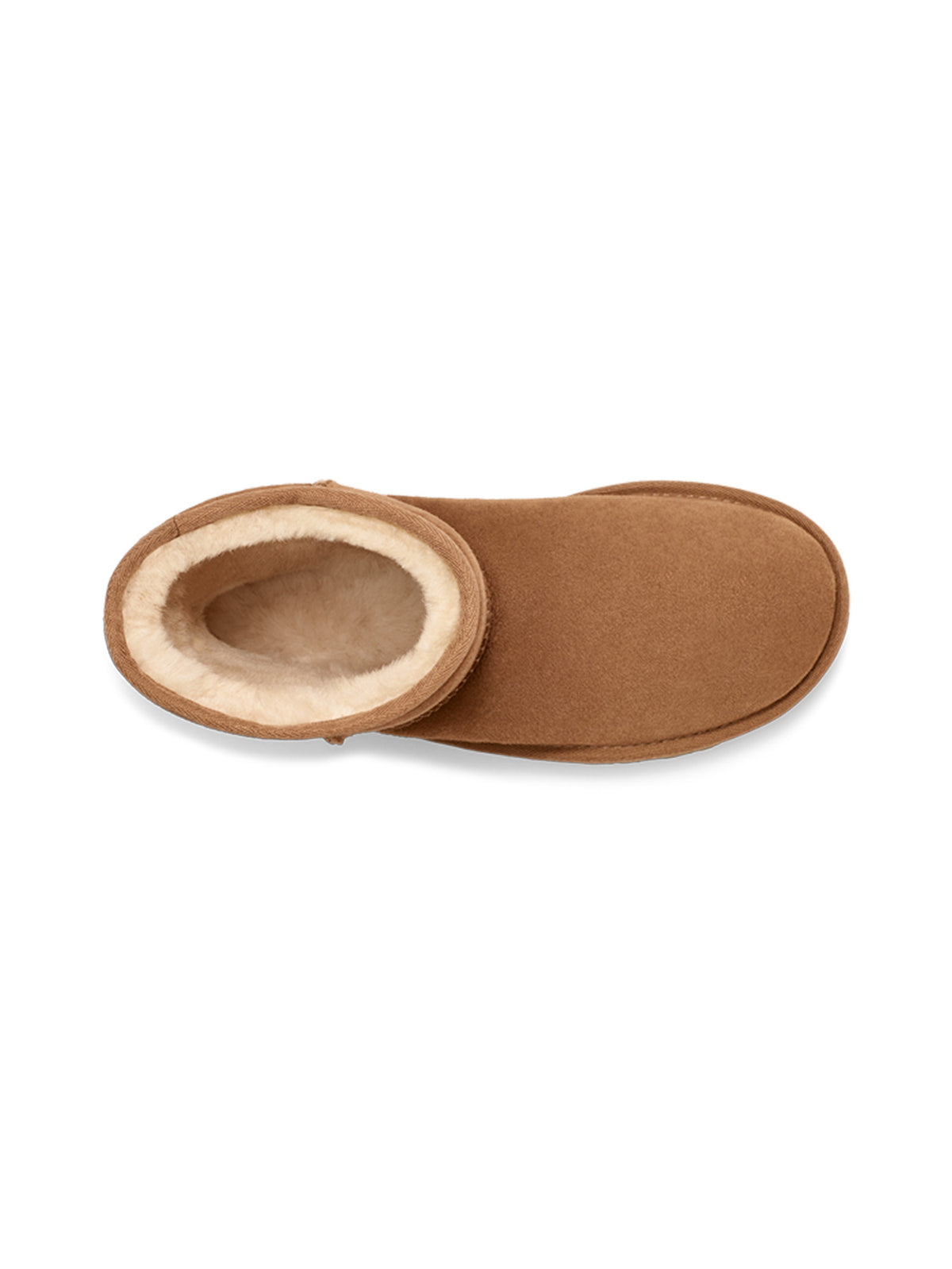 CLASSIC SHORT II - Ugg - MEINFREUDENHAUS